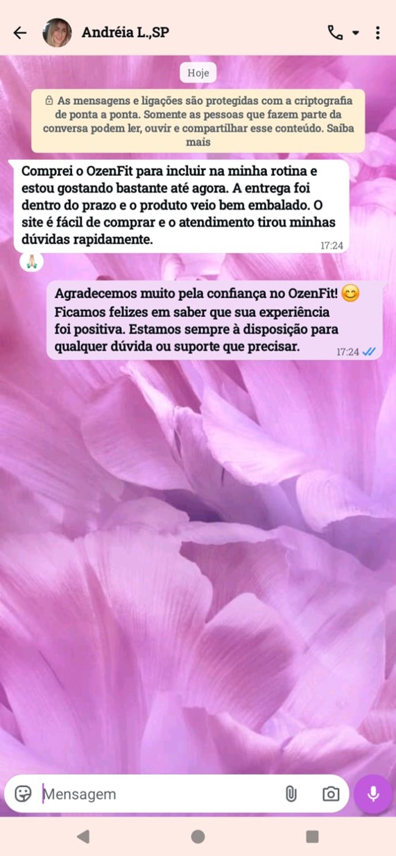 Imagem2
